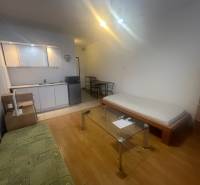 Studio apartment with a kitchenette, sofa, bed, and wood-patterned flooring.