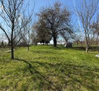 A garden at a family house in Zlaté Moravce with fruit trees.