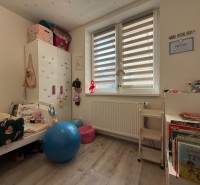 Children's room in a family house with a wooden decor floor, full of toys and books.