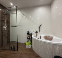 A bathroom in a family house with a corner bathtub and a shower, flooring with a wooden decor.