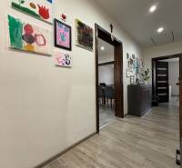 Interior of a family house with decorative paintings on the walls and a floor with a wooden decor.