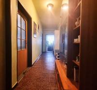 A hallway in a family house with a showcase, doors, and plants at the end.