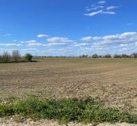 A vast field on Košútska Street in Košúty under a blue sky with trees on the horizon.