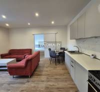 Living room in a two-room apartment with a sofa and a wooden decor floor.