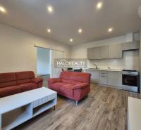 Living room in a two-room apartment with a wooden decor floor, red sofas, kitchen.