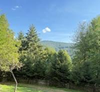 In Horná Mariková near the cottage, there are forest trees and grass under the blue sky.