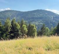 Mountain landscape near Horná Mariková with forests and a meadow under a sunny sky.