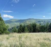 Mountain landscape near Horná Mariková with a meadow and forests under a blue sky.