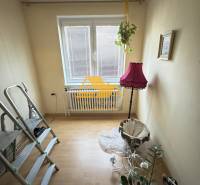 A room with a wooden floor, a plant, and a pink lamp.