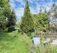 A garden at a family house on Krivosúd - Bodovka street in Krivosúd-Bodovka with lots of greenery.