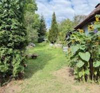 A garden behind a family house in Krivosúd-Bodovka with blooming plants and greenery.