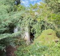 Overgrown entrance to an abandoned family house in the village of Krivosúd-Bodovka, Krivosúd - Bodovka.