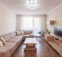 Living room with a sofa, wooden decor flooring, and decorations in a three-room apartment.