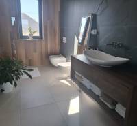 A bathroom in a family house with a bathtub, sink, bidet, and decorative greenery.