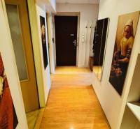 A narrow hallway with a wooden decor floor in a 3-room apartment, with paintings and a mirror.