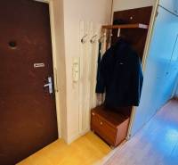 Entrance hall with a coat rack, cabinet, and floor with wooden decor in a 3-room apartment.