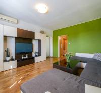 A living room in a three-room apartment with a wooden decor floor and a green wall.