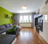 Living room in a 3-room apartment with a sofa, wood-patterned flooring, and a green wall.