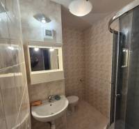 Bathroom with a shower, sink, and light tiles in a studio apartment.