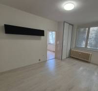 1-bedroom apartment with a built-in wardrobe and flooring with a wood decor, bright interior.