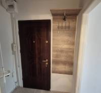 Doors with curtains and a coat rack in the hallway of a studio apartment.