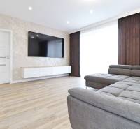 Living room in a three-room apartment with a sofa and wooden decor flooring.