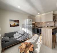 Living area of a studio apartment with a kitchen and a sofa, floor with wood decor.