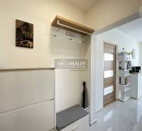 Interior of a 1-room apartment with a coat rack, shoe cabinet, and shelves by the door.