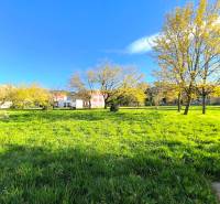 A park with a grassy area and trees in the town of Partizánske on Veľká Okružná.