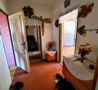 The entrance hall of a three-room apartment with carpet, furniture, and flowers for decoration.