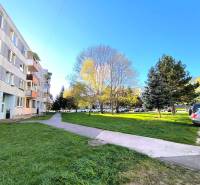 An apartment building on Veľká Okružná in Partizánske, in front of which trees grow and cars are parked.