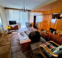 A living room in a 3-room apartment with retro furniture and a carpet, wooden decor flooring.