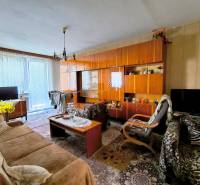 A living room in a three-room apartment with rustic furniture and a striking carpet.