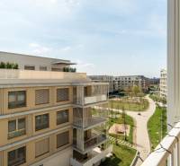 Balconies and greenery between apartment buildings in Bratislava - Ružinov.
