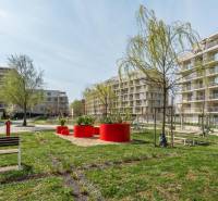 The exterior of apartment buildings in Bratislava - Ružinov with trees and benches.