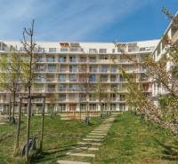 Residential complex in Bratislava - Ružinov with maintained greenery and a children's playground.