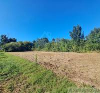 A plot in Hosťová for living, surrounded by greenery and blue skies.