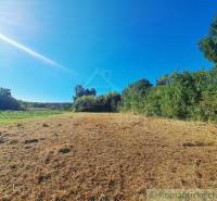 Greenery and meadow on a residential plot in Hosťová under the blue sky.