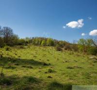 Green slope with scattered trees and blue sky around Krupina, ideal for residential plots.