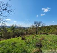 The landscape in Krupina with a blooming meadow suitable for plots - housing with a panoramic view.