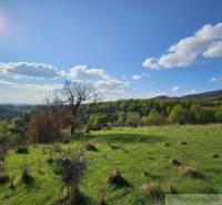 Land in Krupina with meadows and trees, suitable for residential plots.