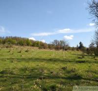 Meadow in Krupina for Land - housing, with flowers and maintained greenery.