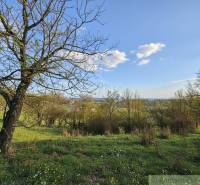 A view of blooming meadows and trees with a view of Krupina, Land - housing.