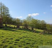 Blooming meadows and trees in Krupina present Land - living in an idyllic environment.