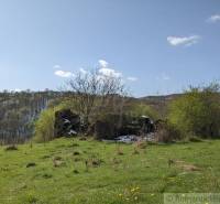 Greenery and landscape with ruins in Krupina, suitable for residential plots.