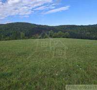 A green meadow surrounded by forests in Horný Tisovník, ideal for residential plots.