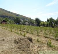 Hilly landscape with vineyards and a family house in Šiatorská Bukovinka.