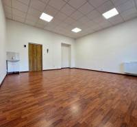 Office with a sink and a wooden floor.