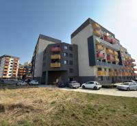 Apartment buildings on Mikovíniho Street in Trnava with a parking lot and green area.