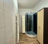The bathroom of a 2-room apartment with a typical shower cabin and a floor with a wooden decor.